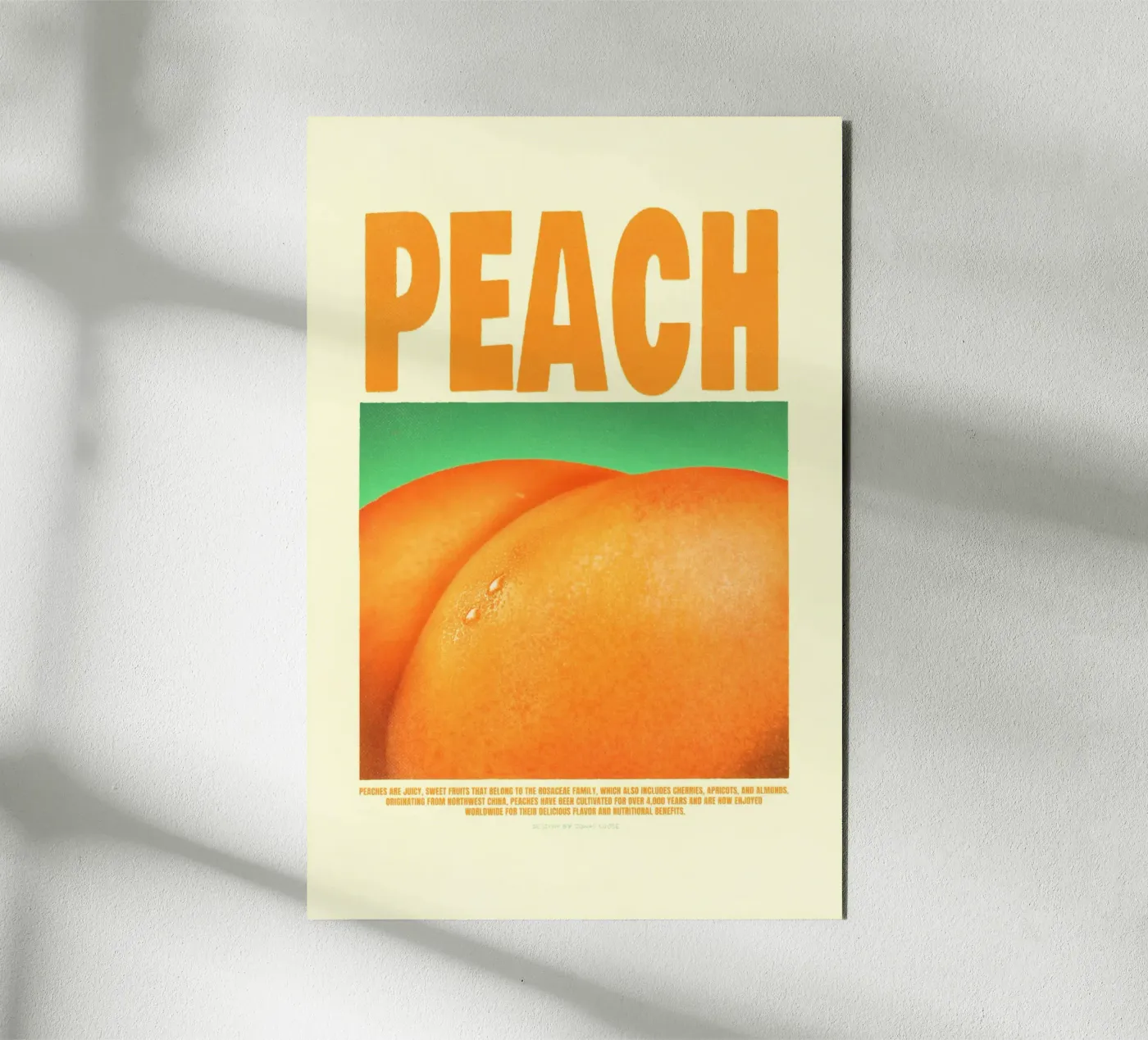 Perzik forex-plaat van Jonas Loose