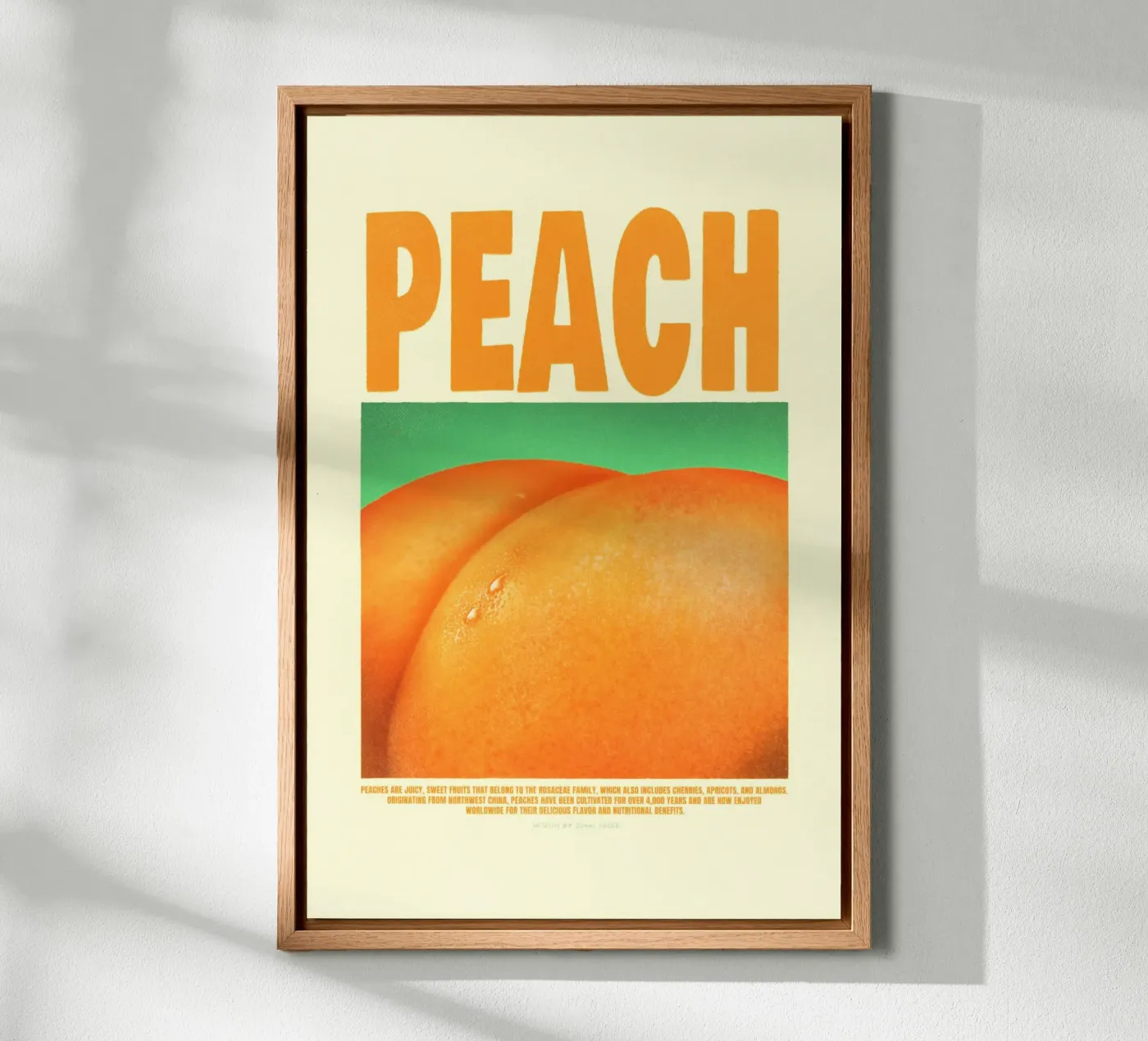 Pesca tela da Jonas Loose