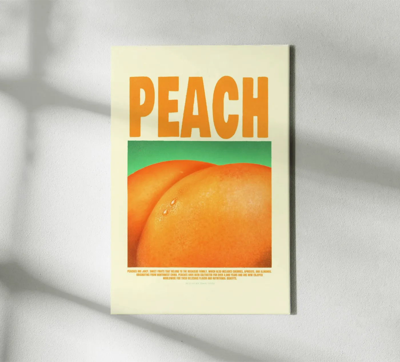 Pesca tela da Jonas Loose