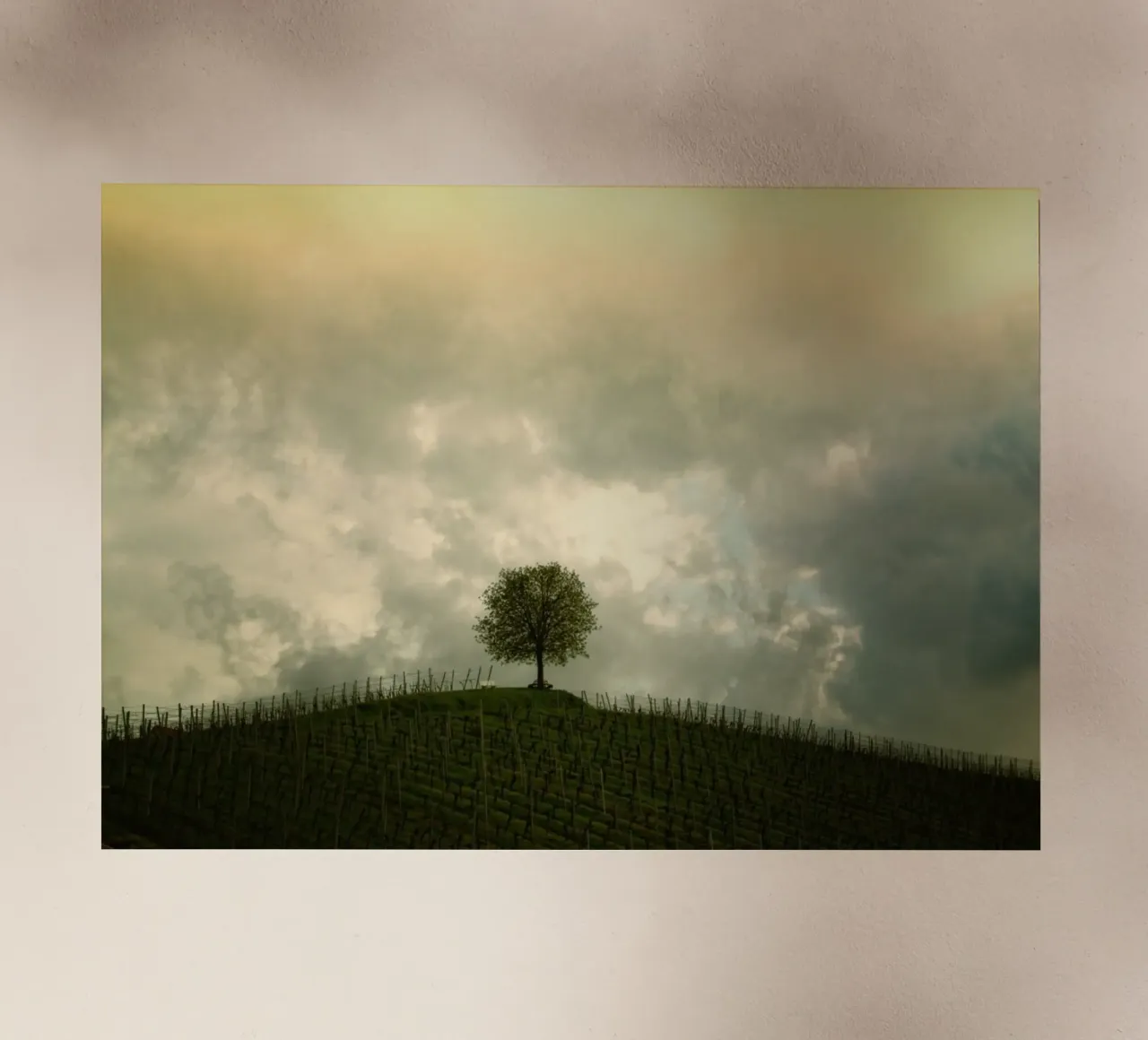 solitude rural agriculture pellicola backlit da Histrol