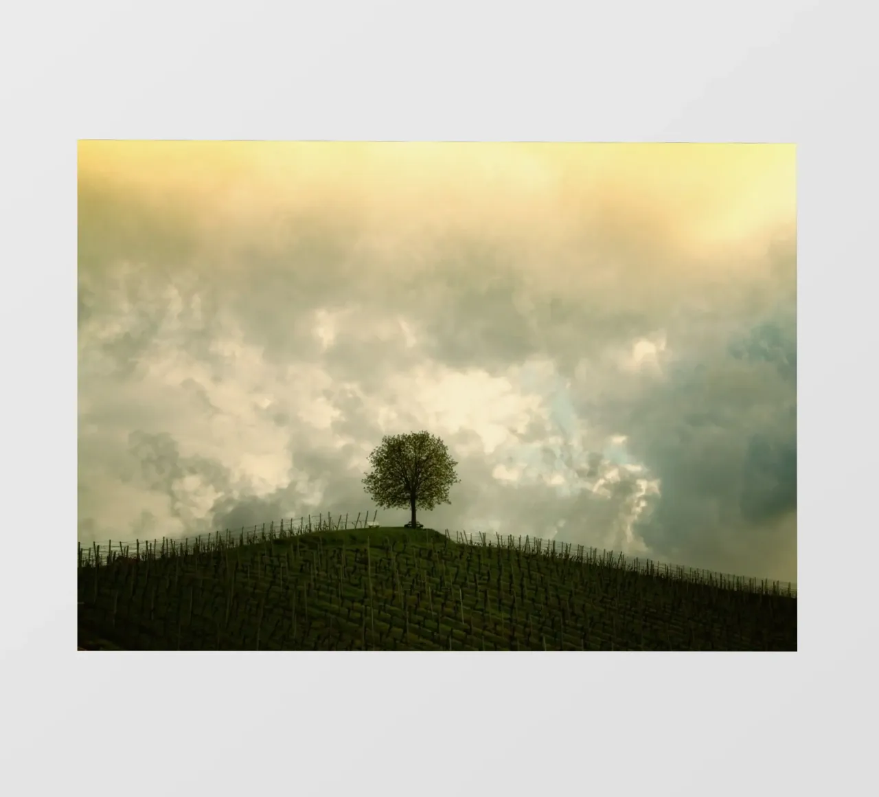 solitude rural agriculture pellicola backlit da Histrol
