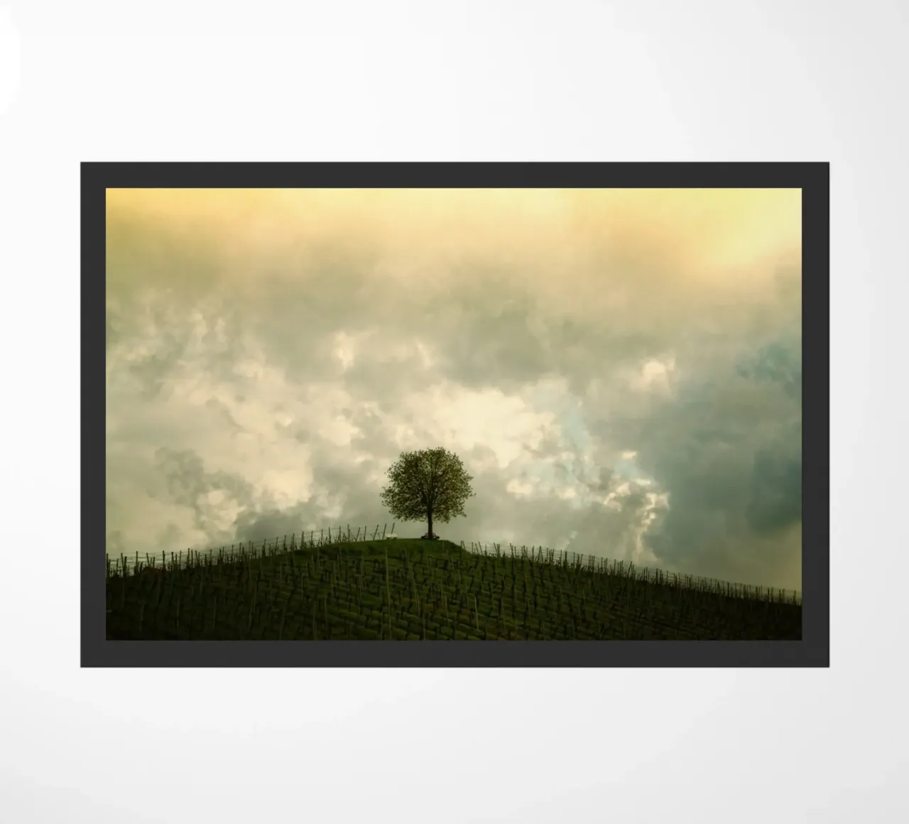 solitude rural agriculture zerbino da Histrol