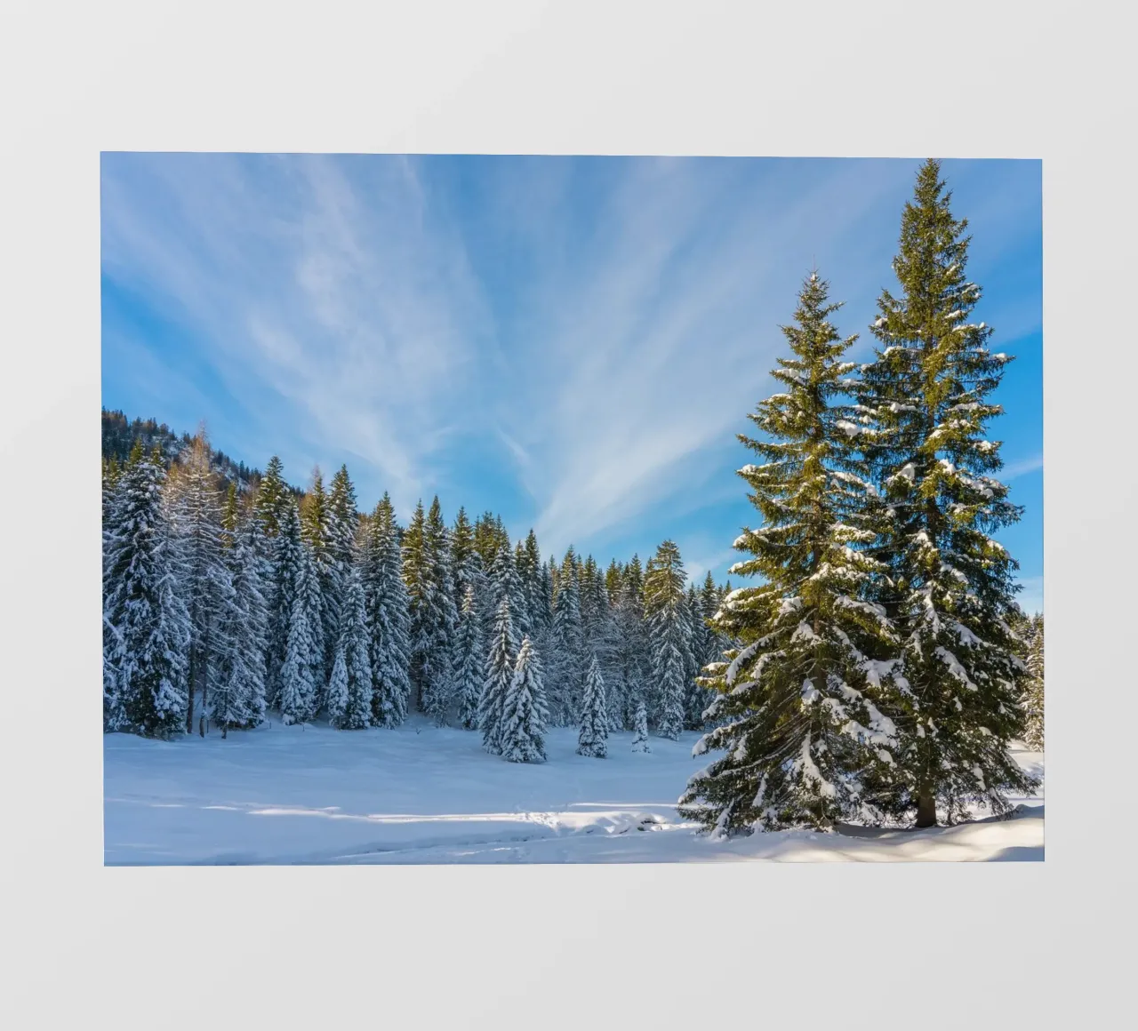 untouched snow serenity pellicola backlit da Histrol