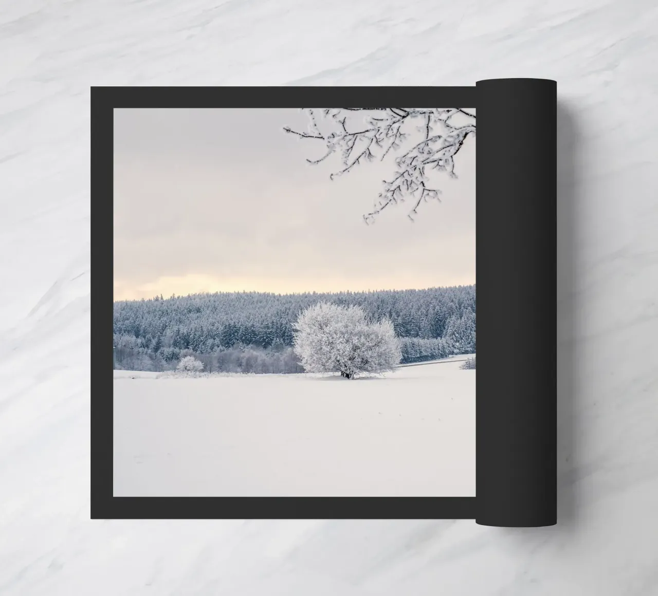 cold nature zerbino da Histrol