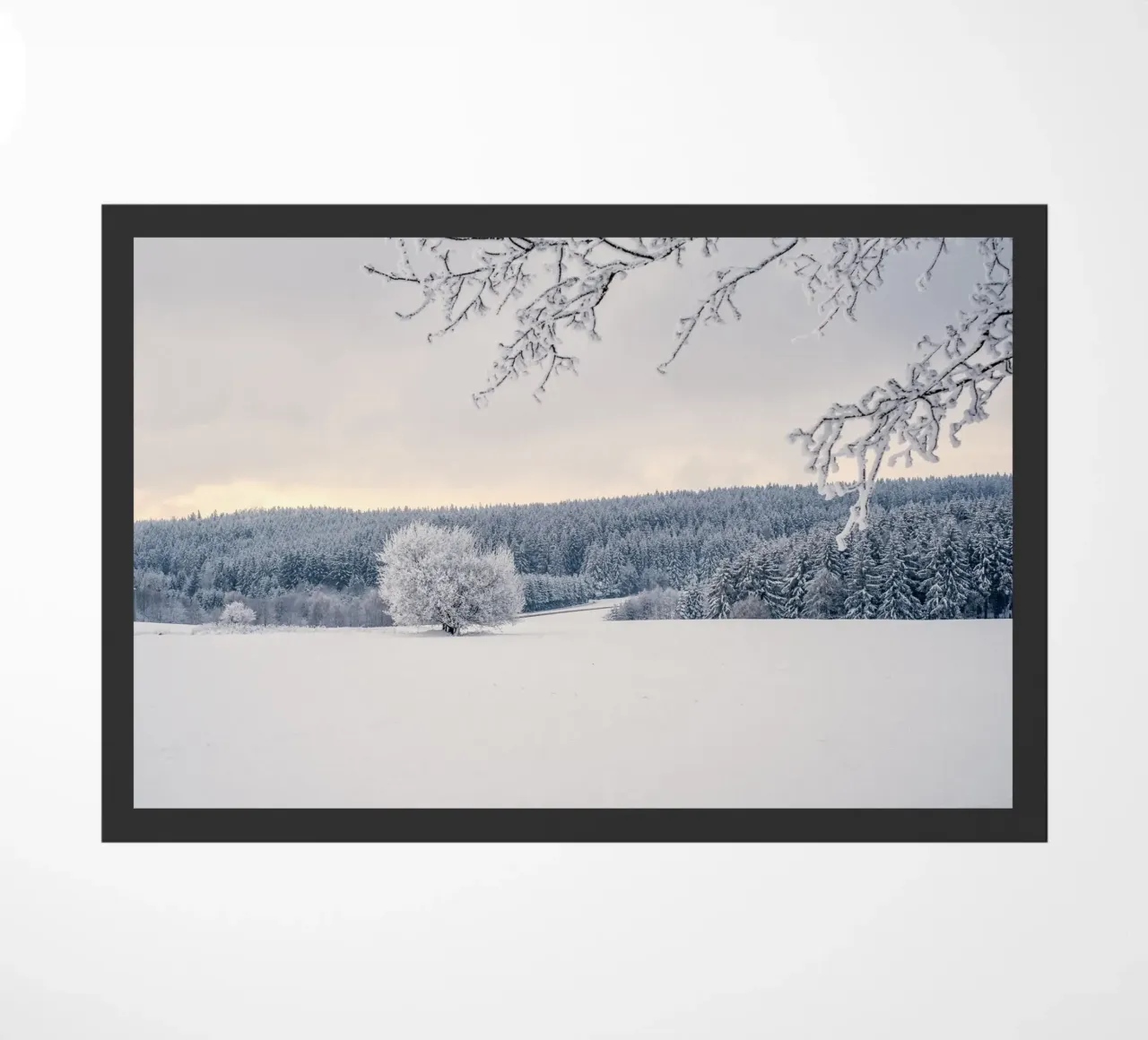 cold nature zerbino da Histrol