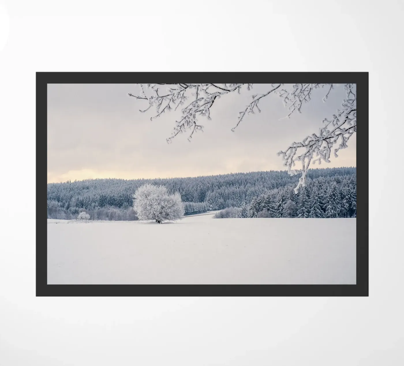 cold nature zerbino da Histrol