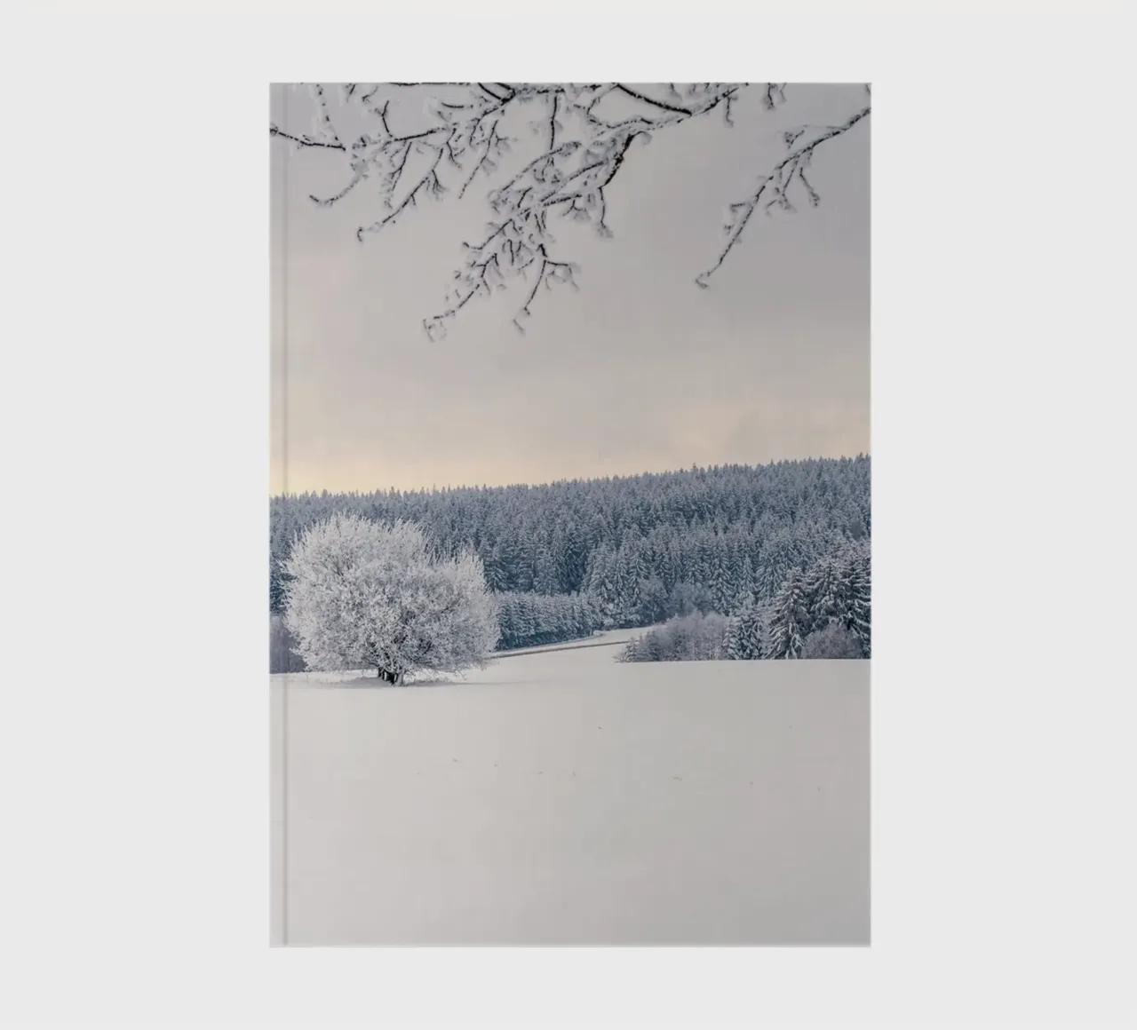 cold nature notebook by Histrol