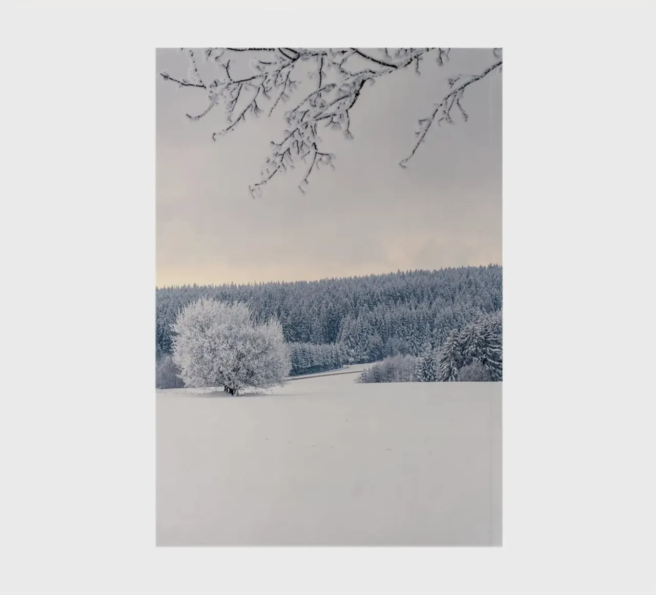 cold nature notebook by Histrol