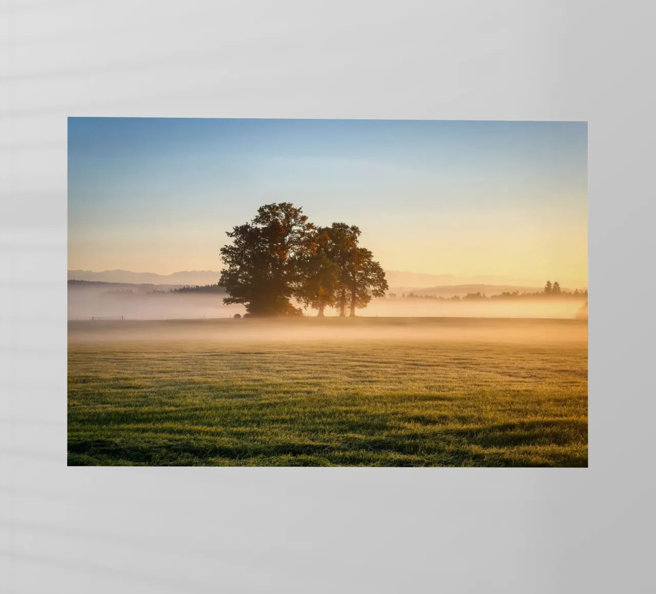 daybreak pellicola backlit da Histrol