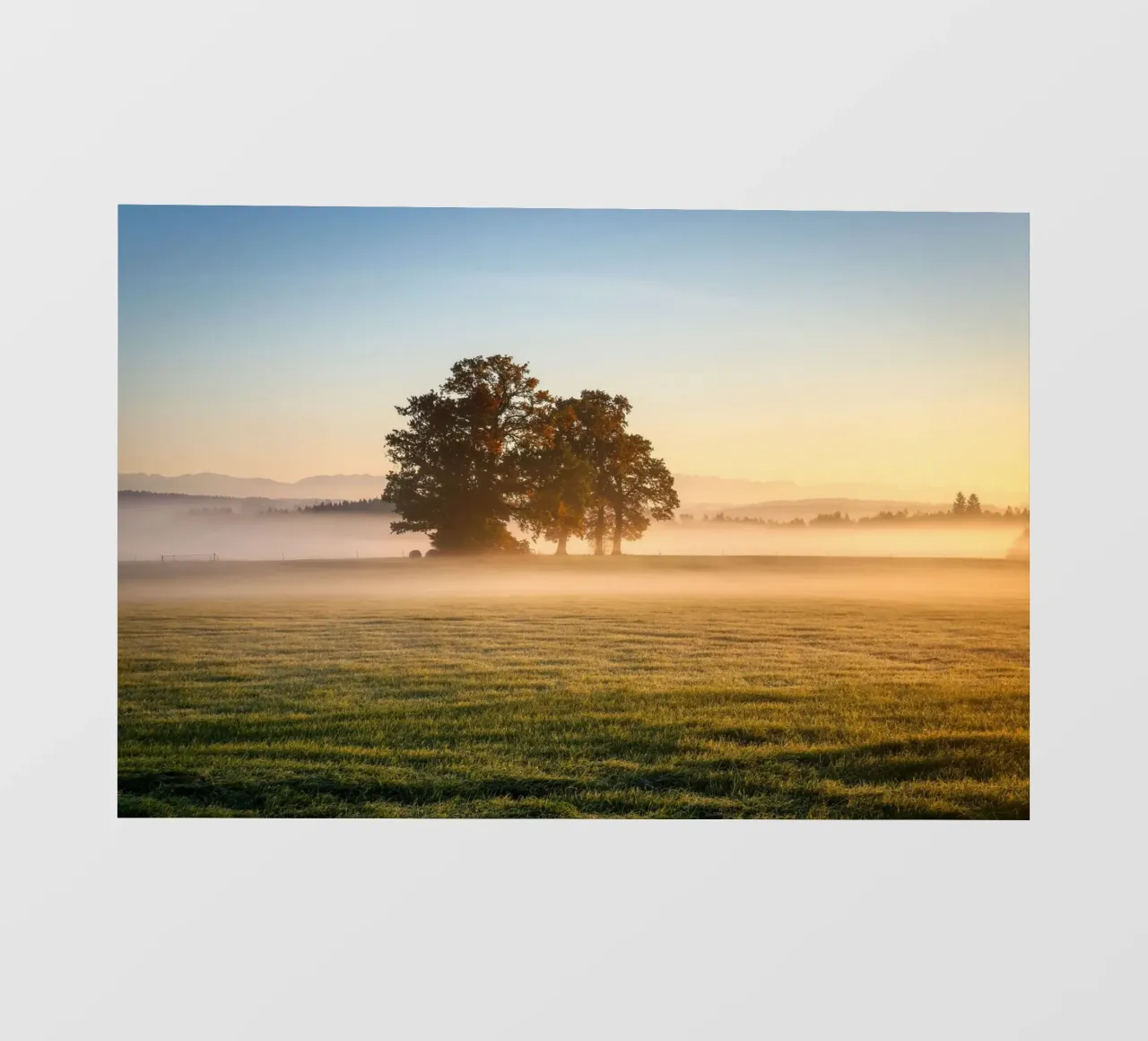 daybreak pellicola backlit da Histrol