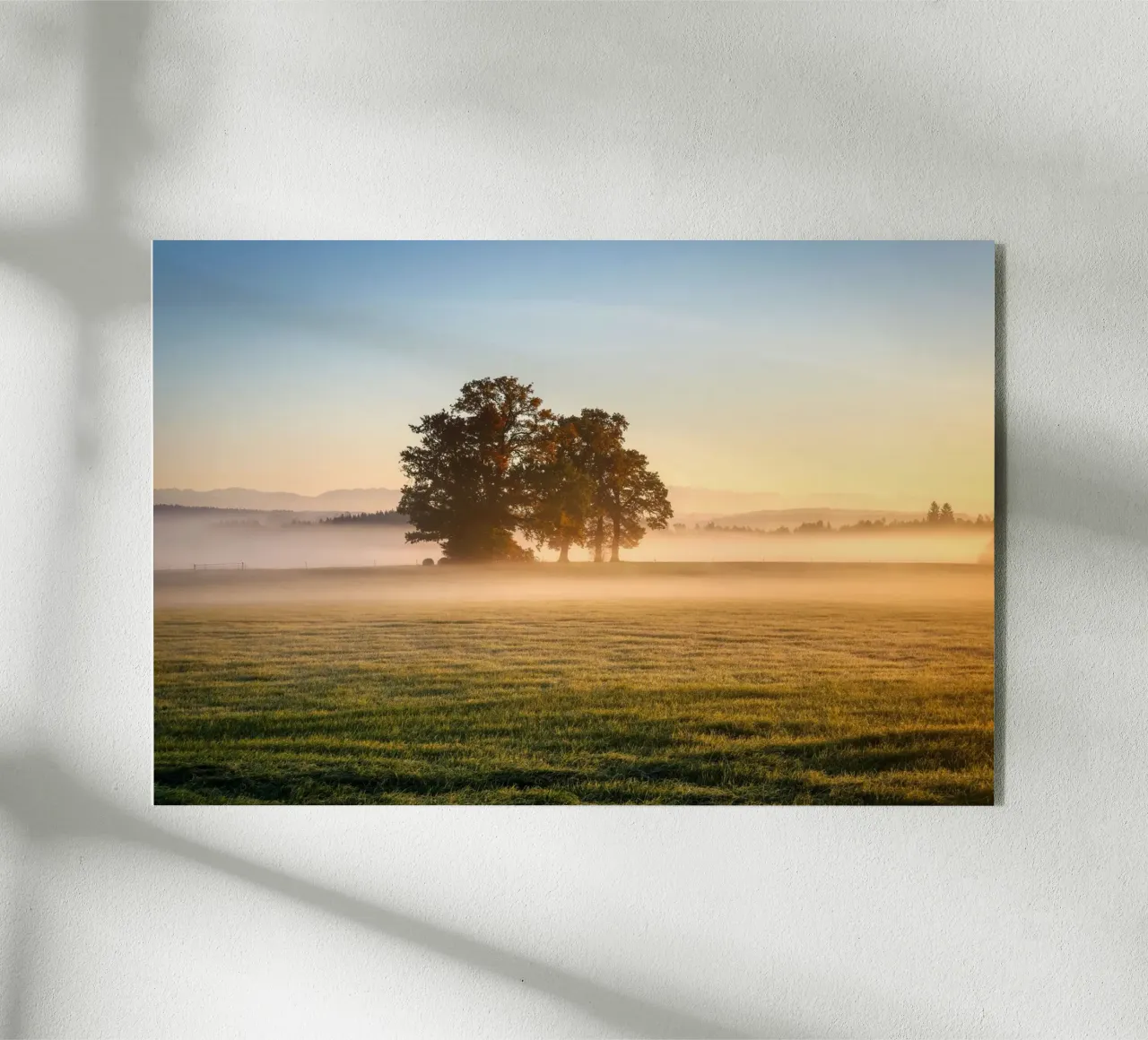 daybreak plexiglass da Histrol