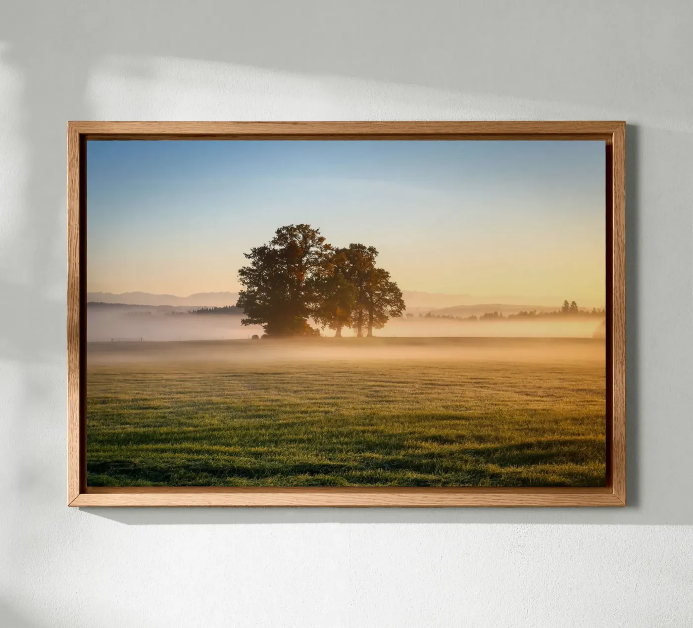 daybreak alluminio dibond da Histrol