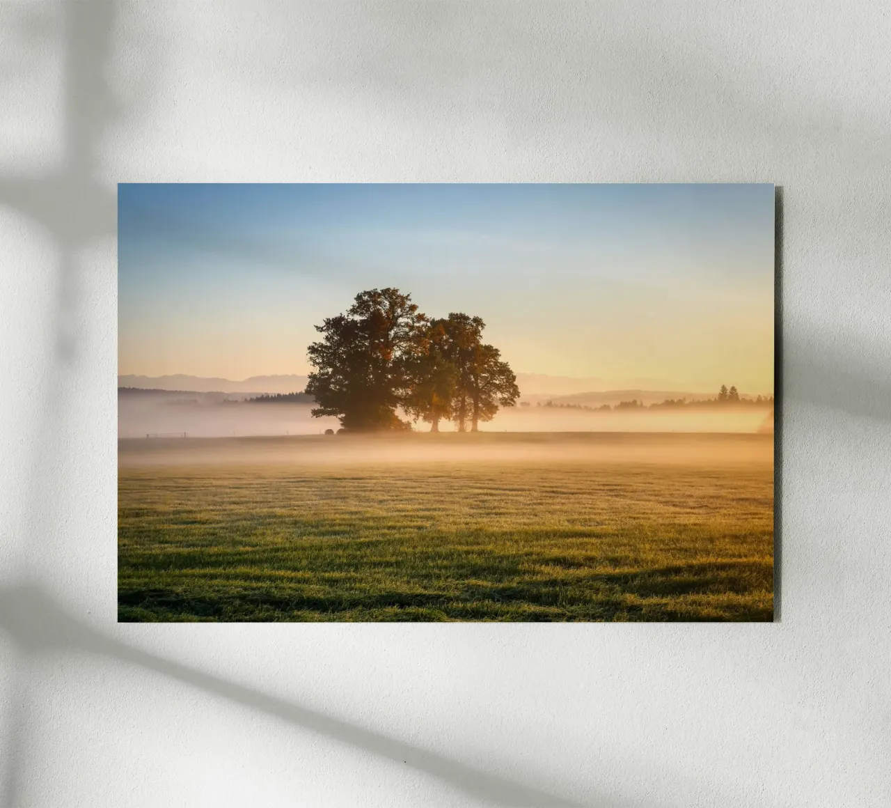 daybreak forex plate by Histrol