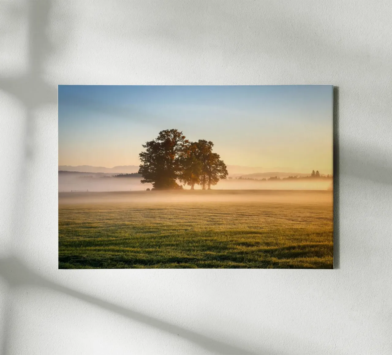 daybreak tela da Histrol