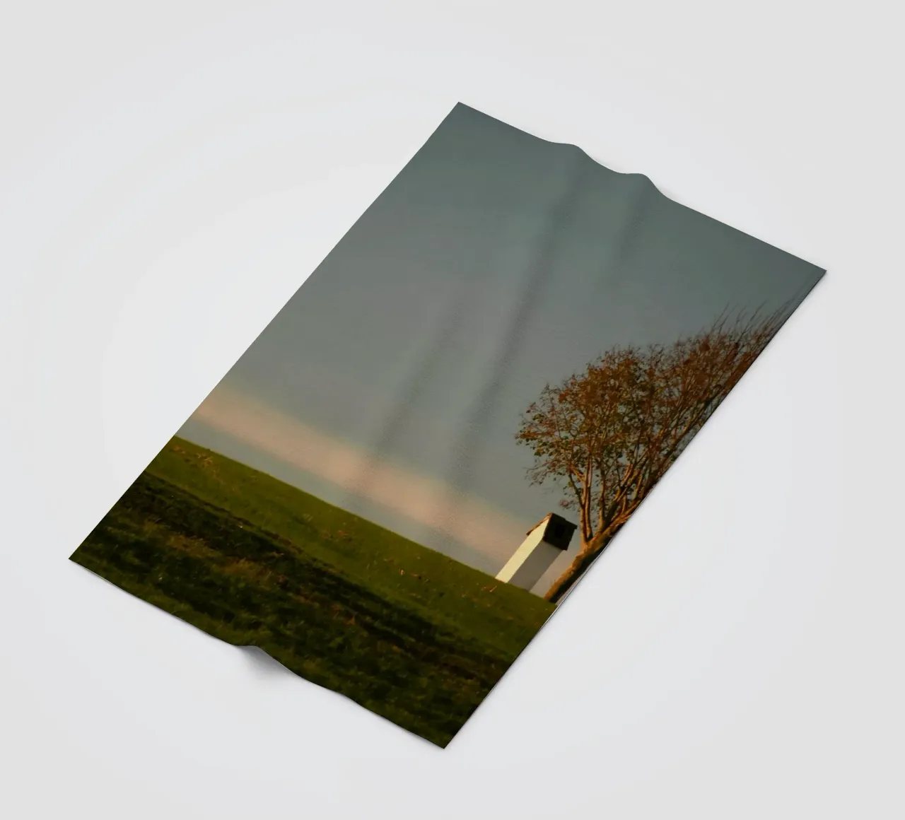 minimalist scene open space coperta in pile da Histrol