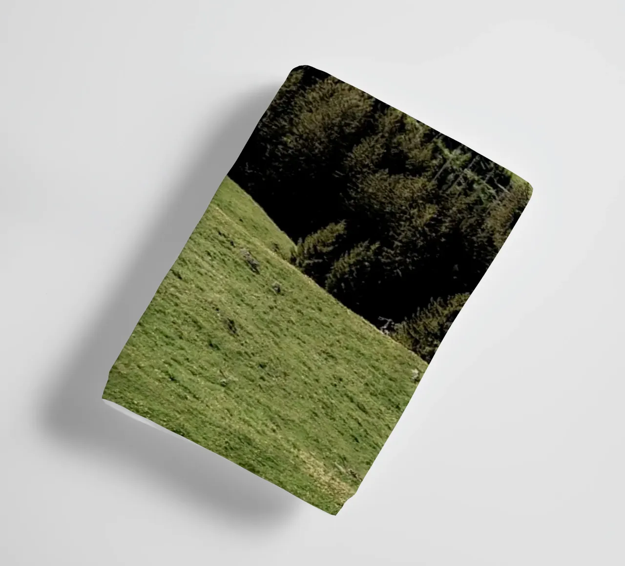 pasture meadow woodland towel by Histrol