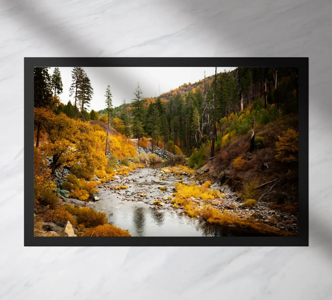 Thaoe zerbino da Flo Klein