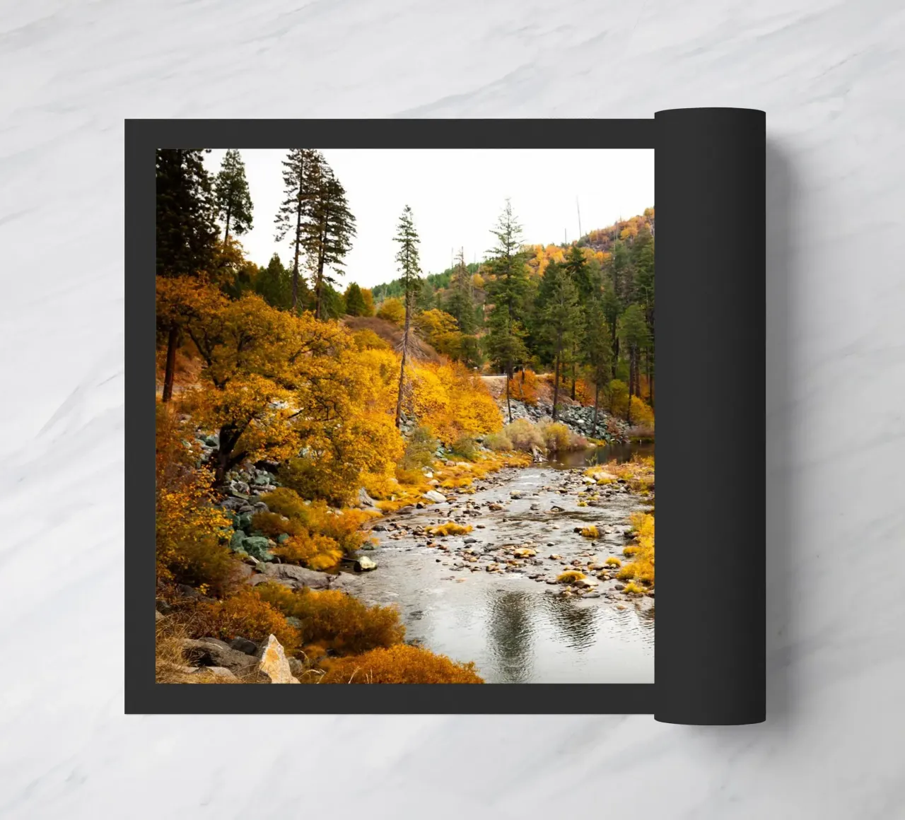 Thaoe zerbino da Flo Klein