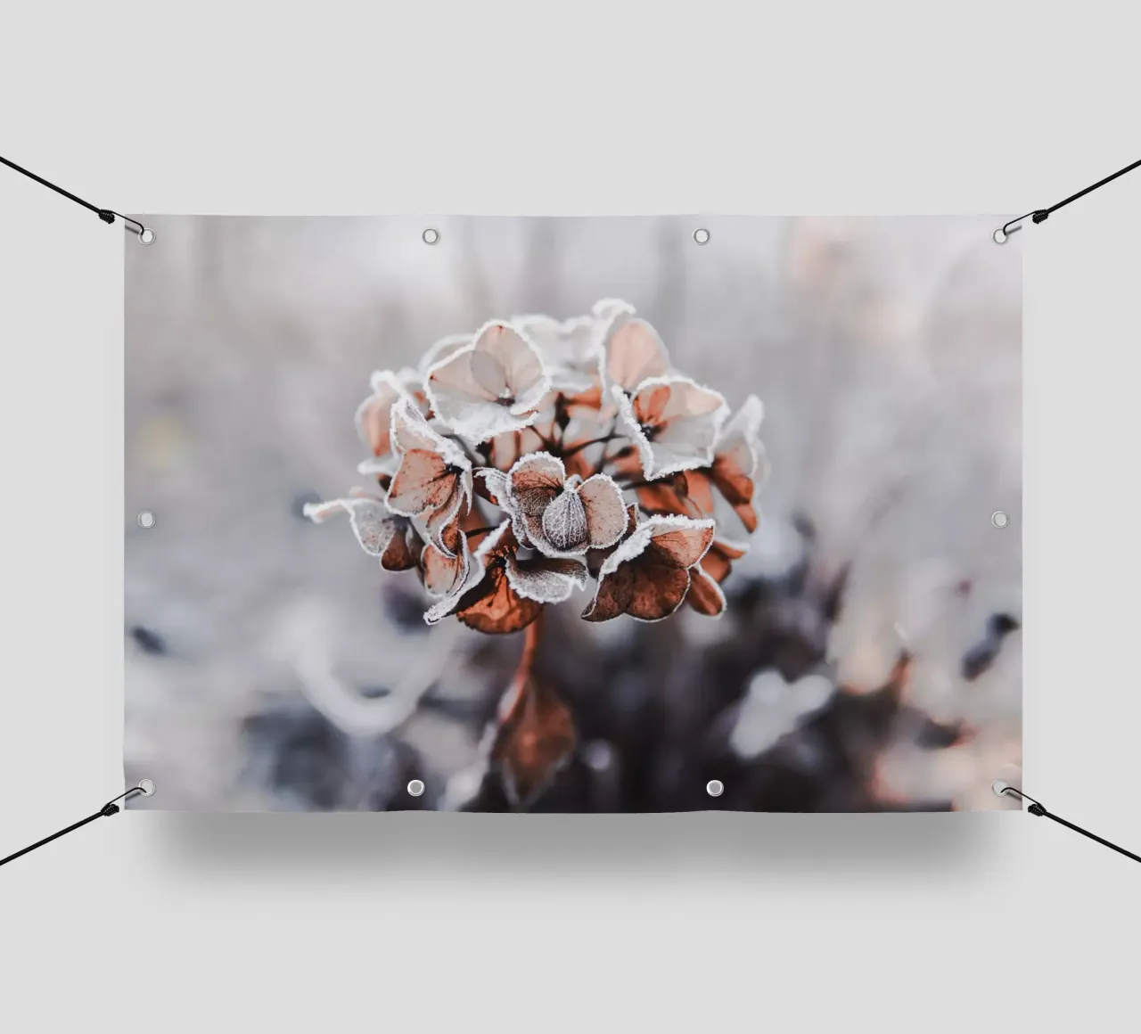 frozen telo in pvc da Alina