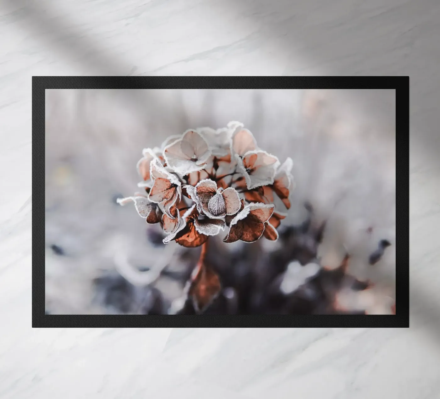 frozen doormat by Alina