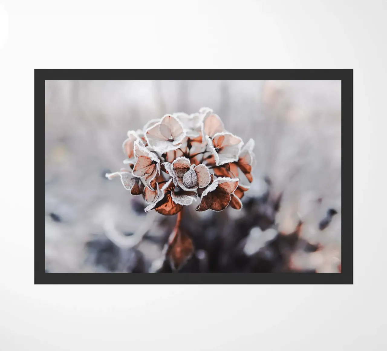 frozen deurmat van Alina