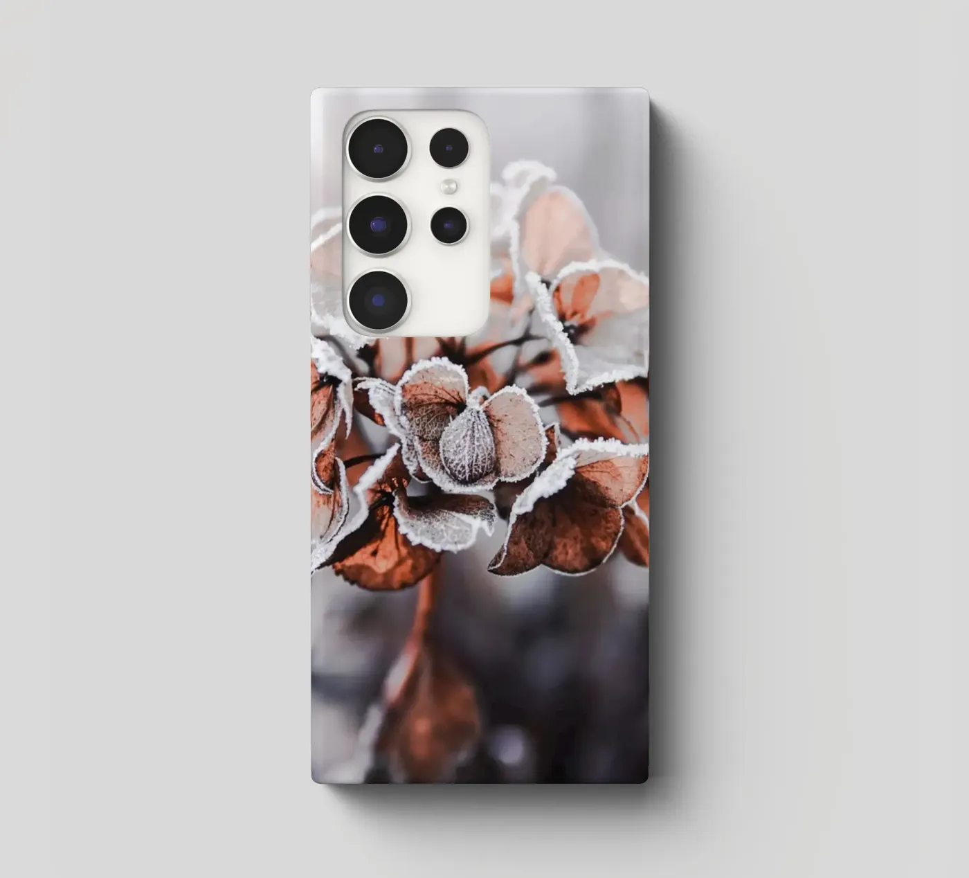 frozen cover samsung da Alina