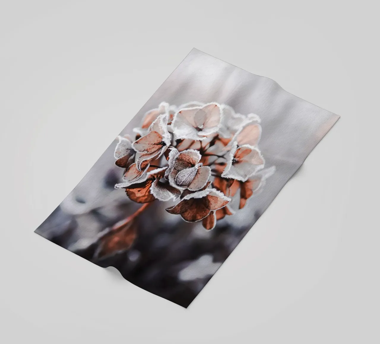 frozen telo mare da Alina