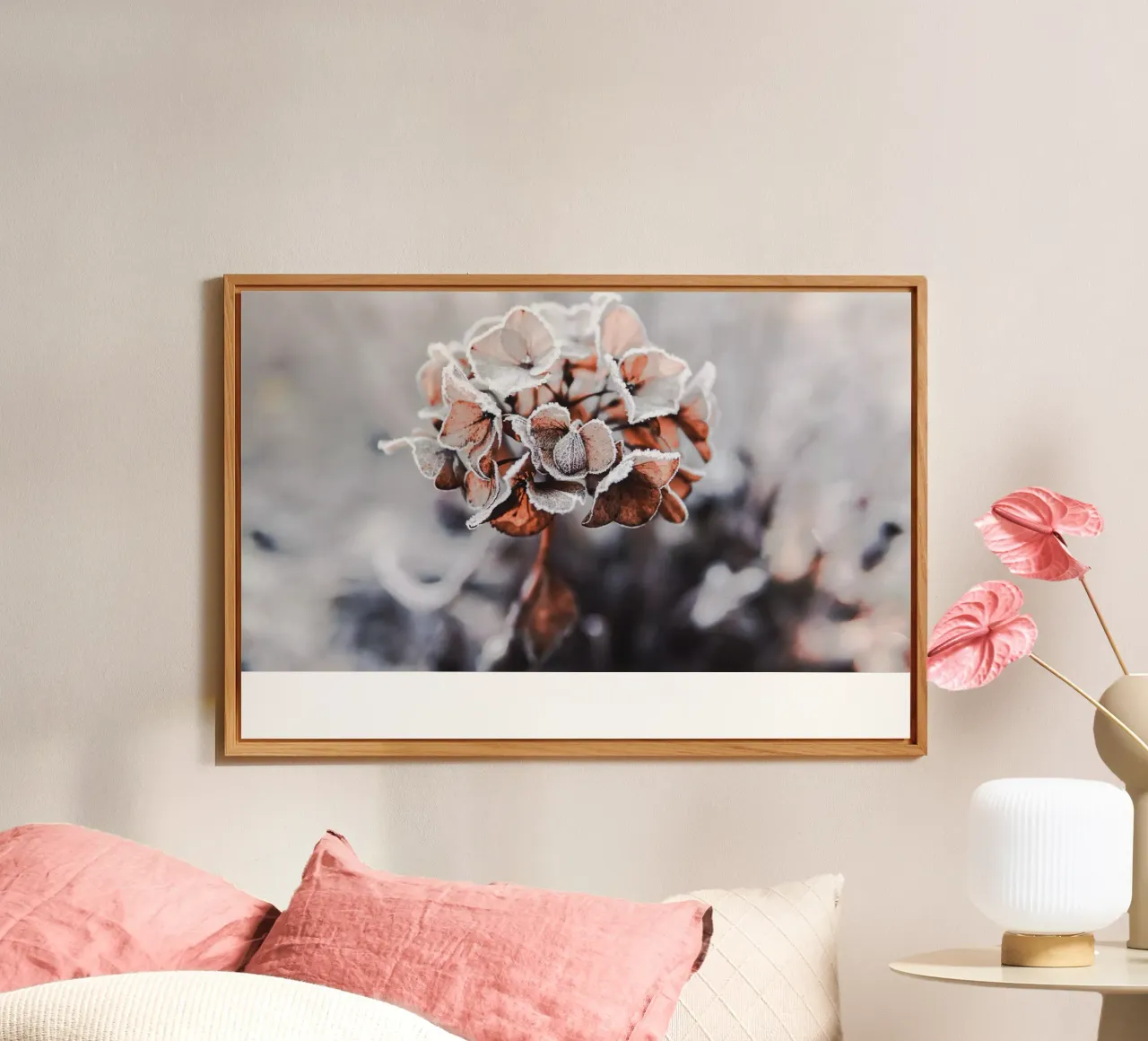 frozen forex-plaat van Alina