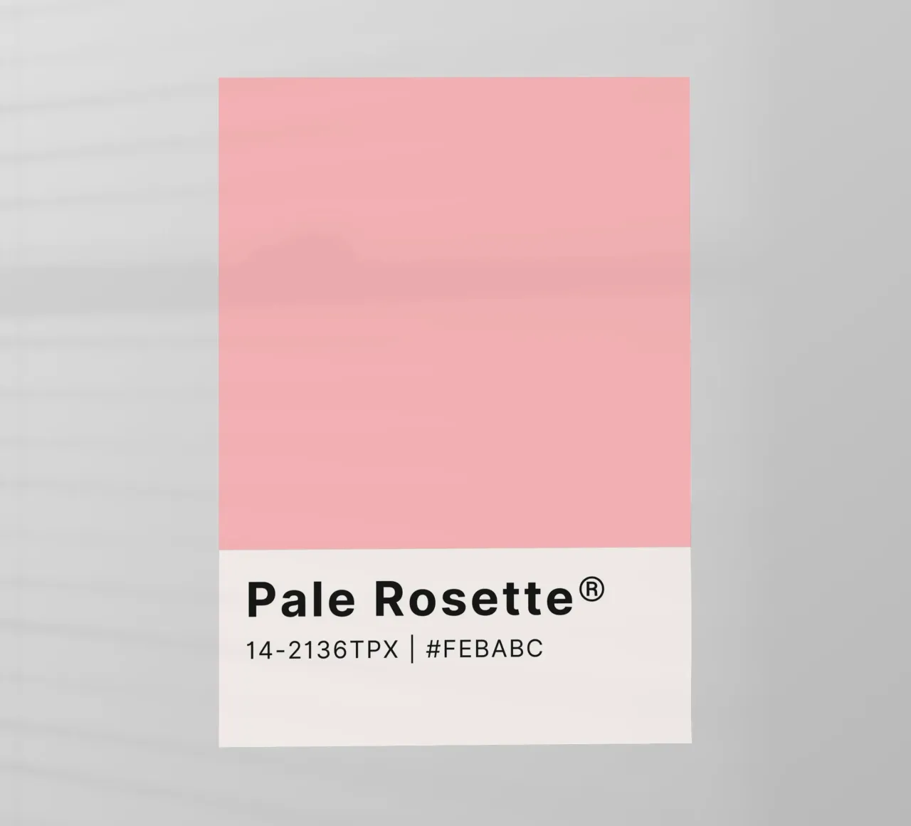 Pale Rosette Pantone Color Code Minimalist Print backlit film by homdeco
