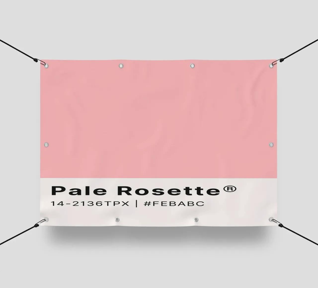 Pale Rosette Pantone Color Code Minimalist Print pvc cover by homdeco