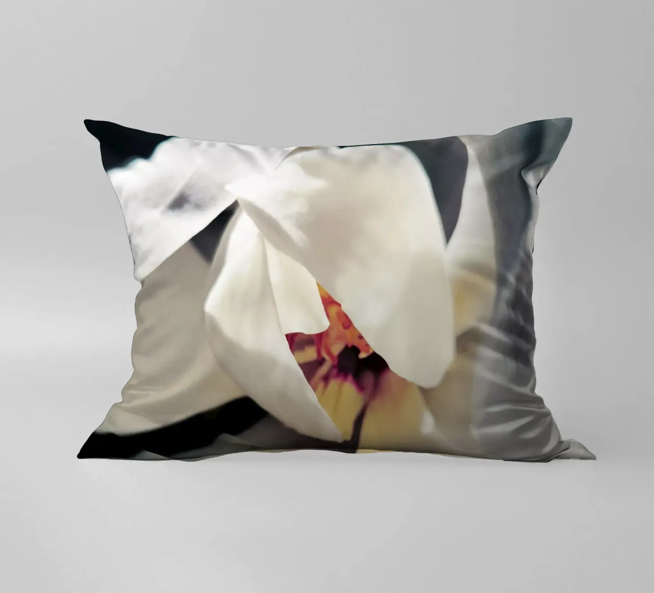Magnolia Swag decorative cushion by Angelo Cerantola