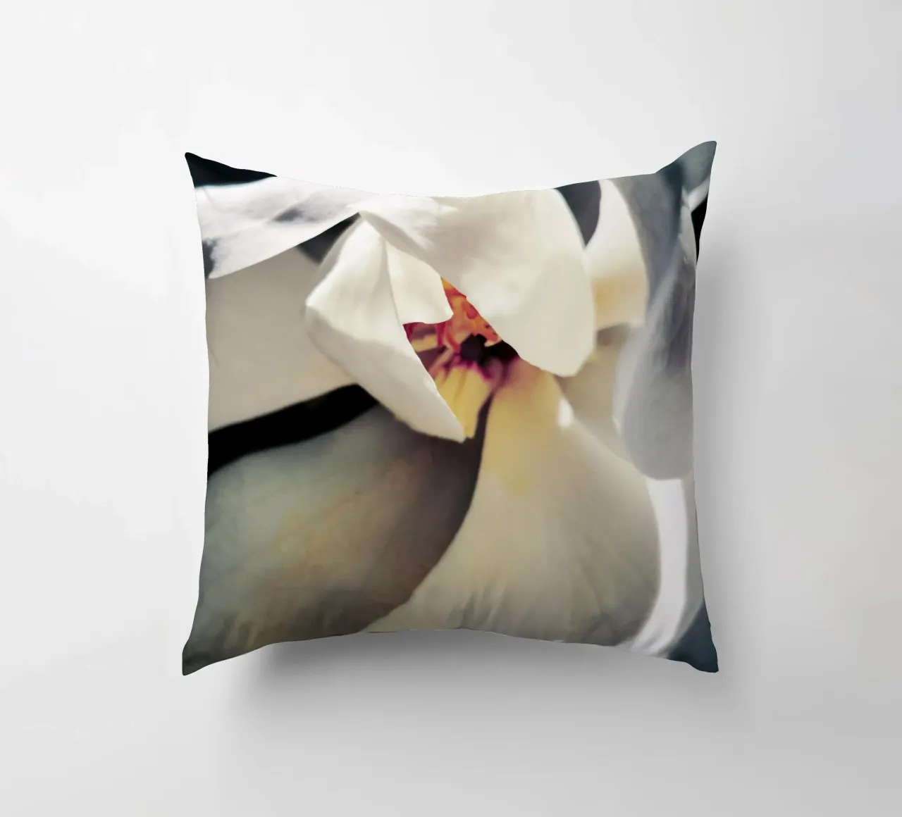 Magnolia Swag decorative cushion by Angelo Cerantola