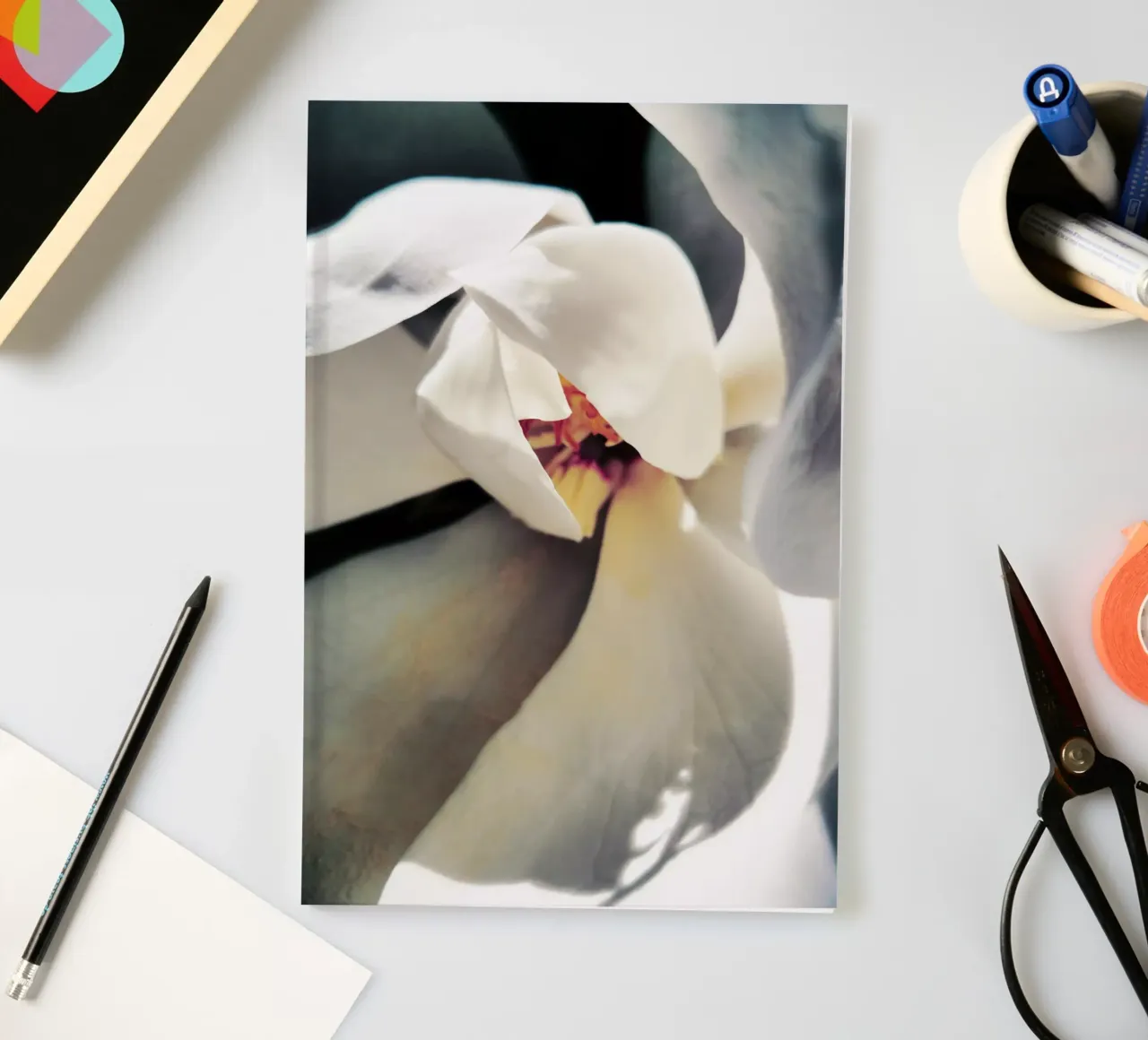 Magnolia Swag notebook by Angelo Cerantola