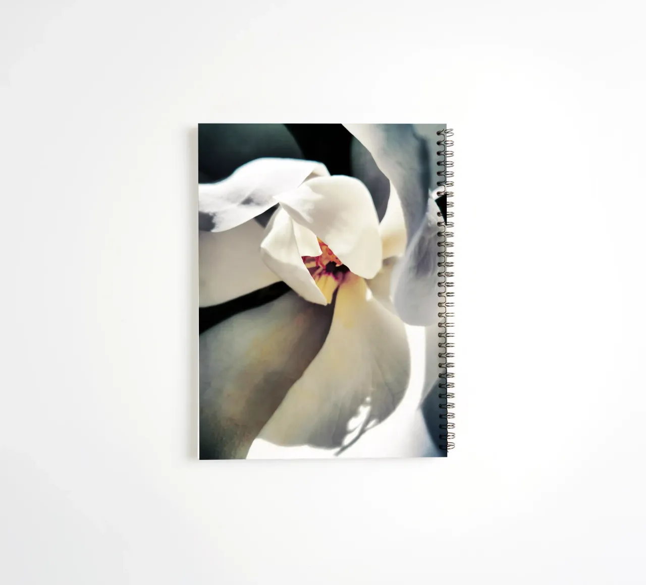 Magnolia Swag spiral notebook by Angelo Cerantola