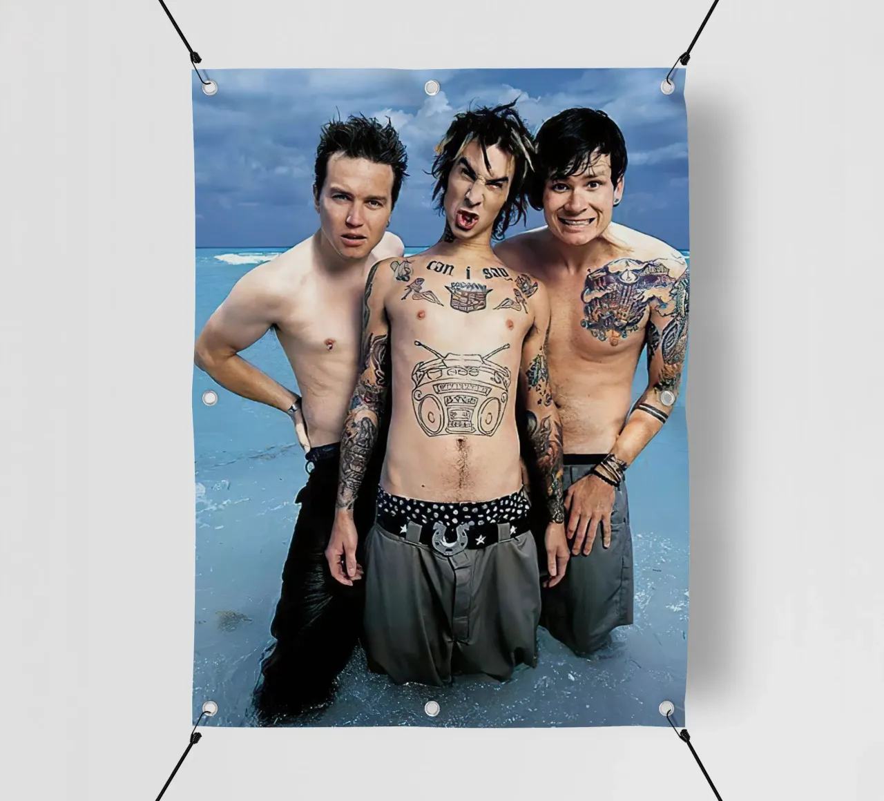 Blink 182 telo in pvc da Musadad Shop
