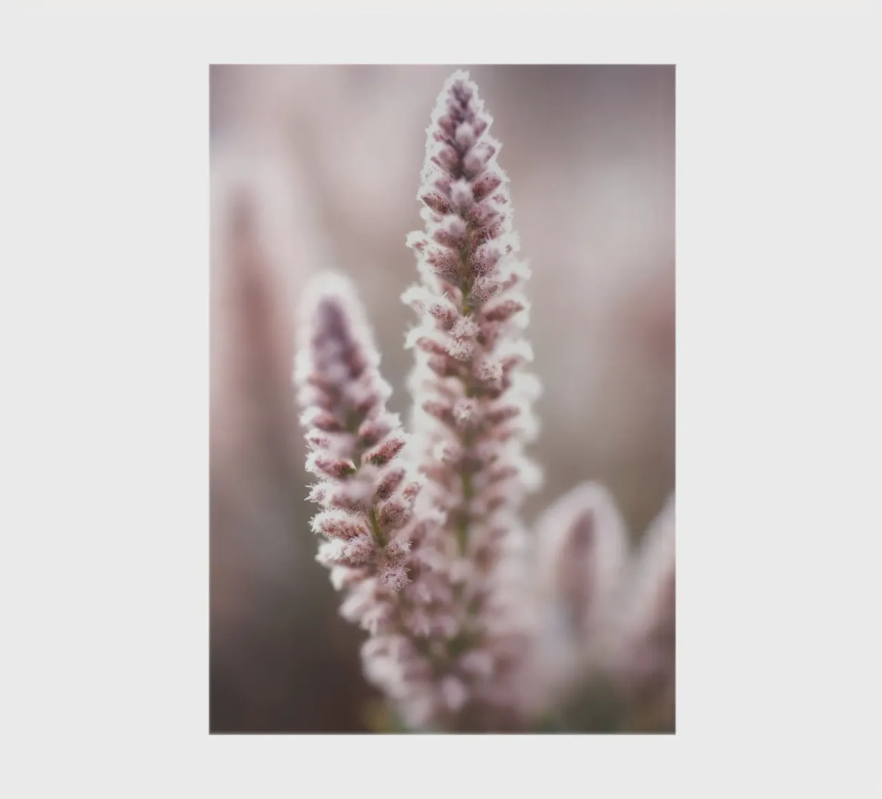 Nature Detail No 2 notebook by treechild