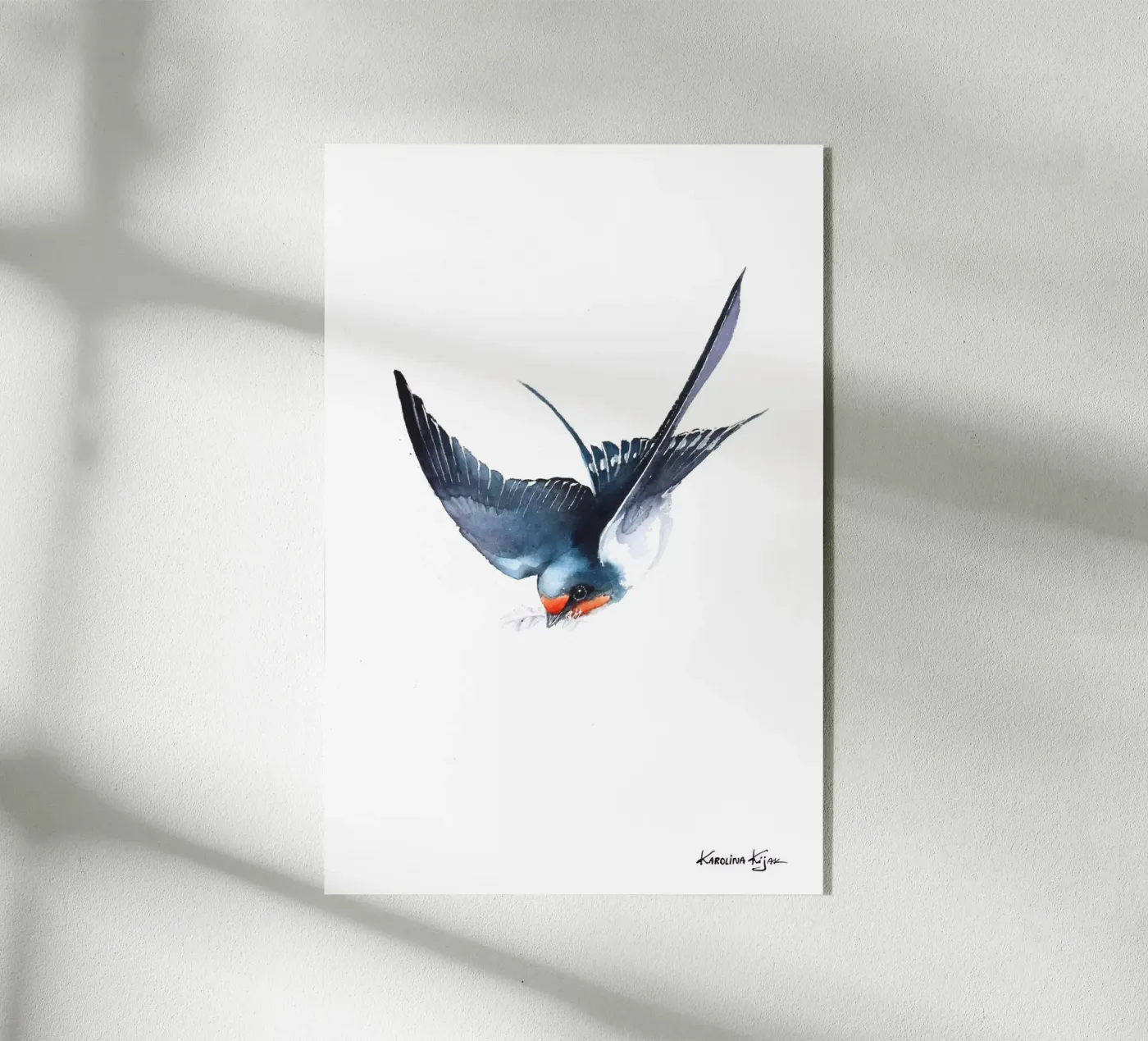 Barn swallow plexiglass da Karolina Kijak