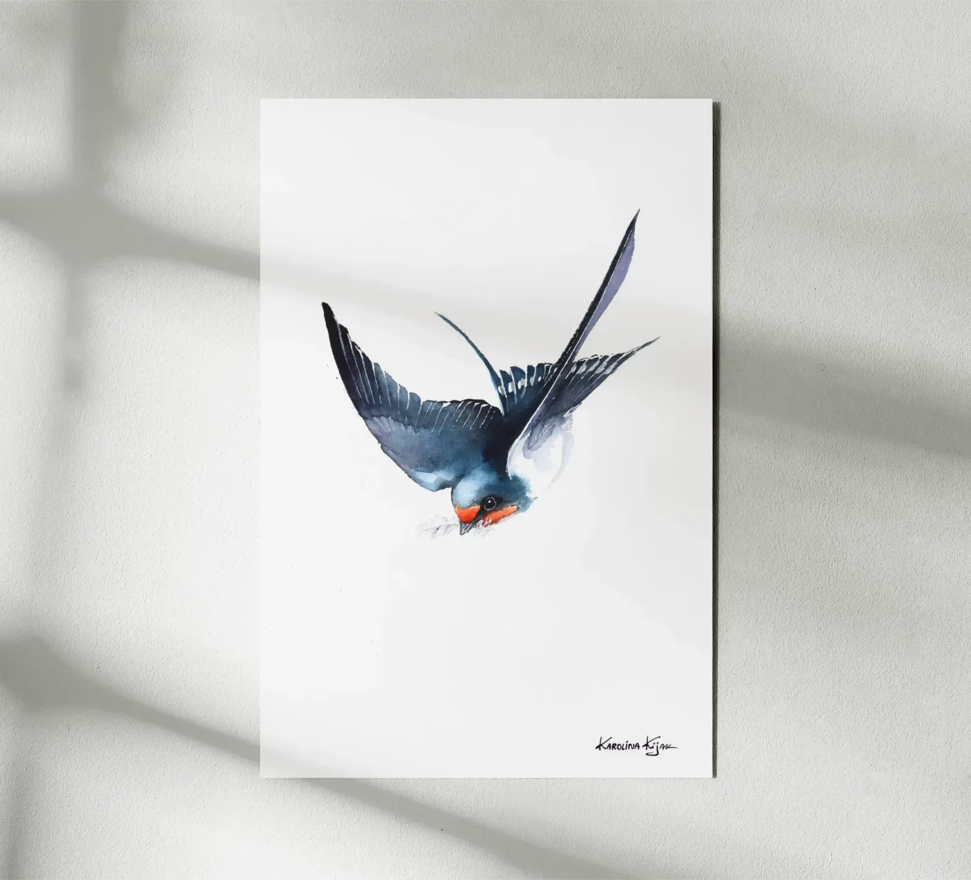Barn swallow pannello forex da Karolina Kijak