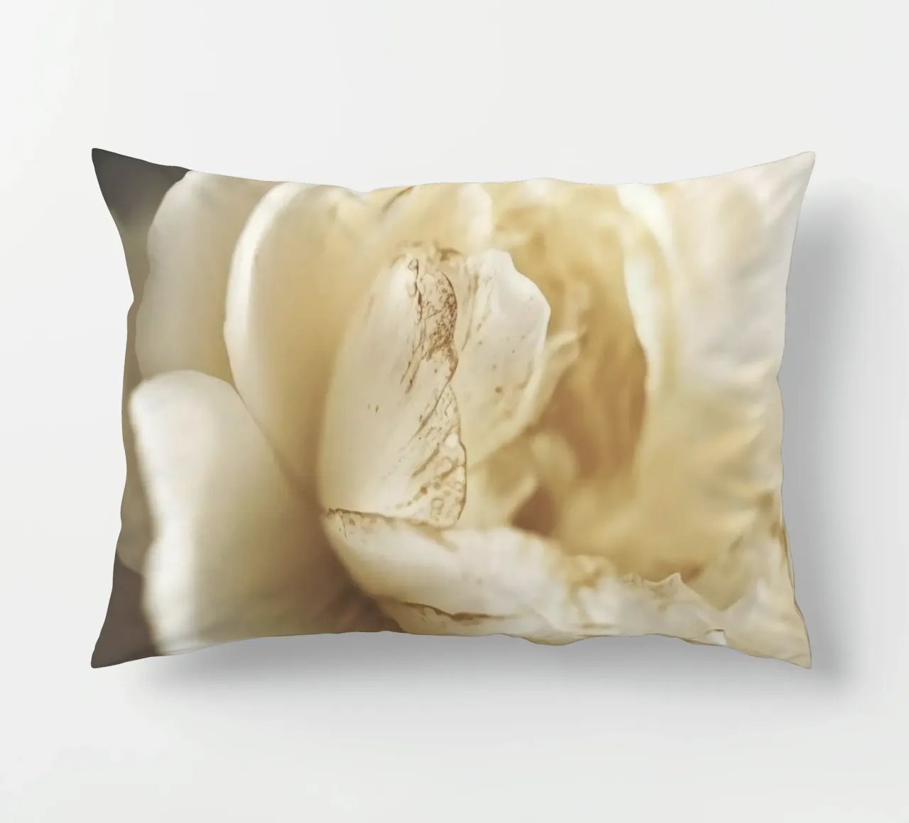 Peony In Soft Light cuscino da treechild