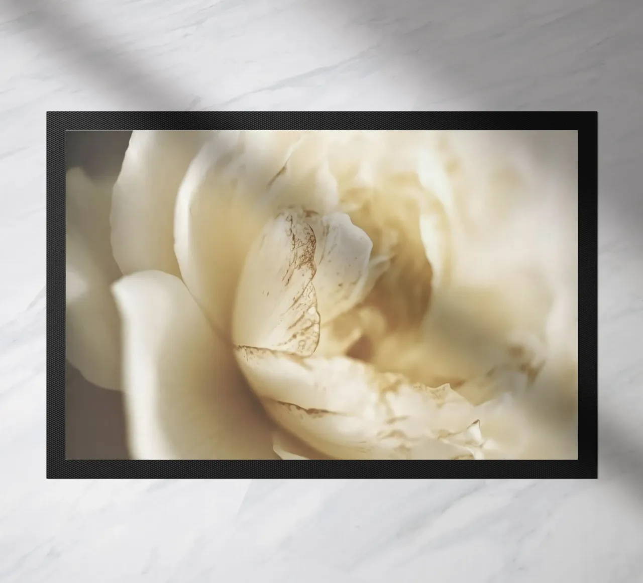 Peony In Soft Light zerbino da treechild