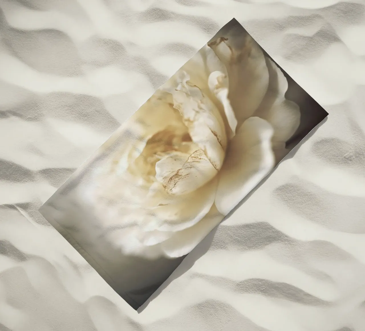 Peony In Soft Light telo mare da treechild