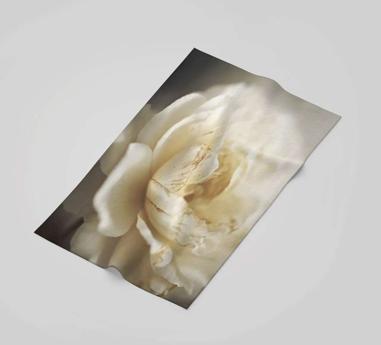 Peony In Soft Light telo mare da treechild