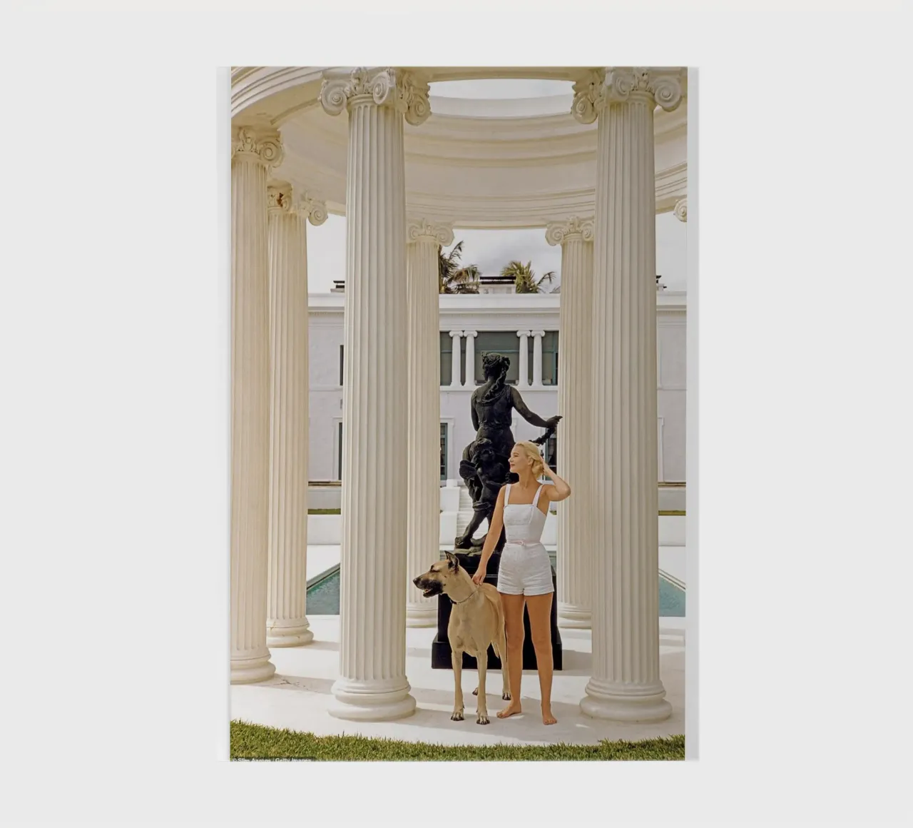 Slim Aarons - Femme portant un chien carnet de notes de The Poster UK