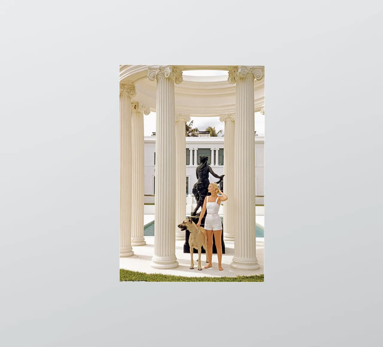 Slim Aarons - Femme portant un chien autocollant de The Poster UK