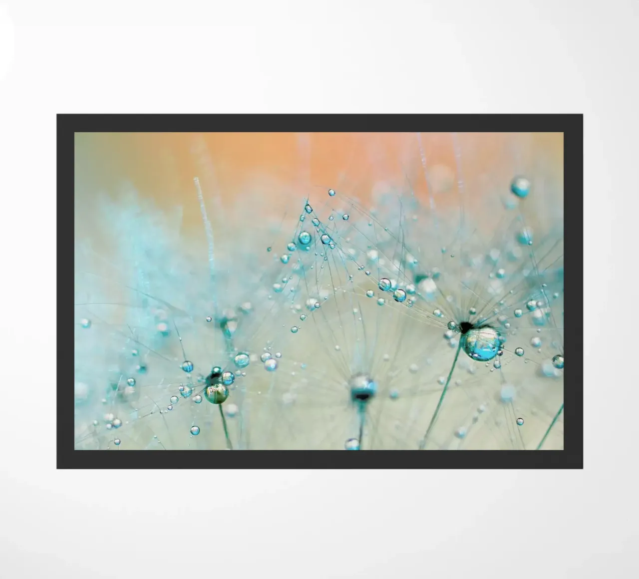 droplets of aqua zerbino da Ingrid Beddoes