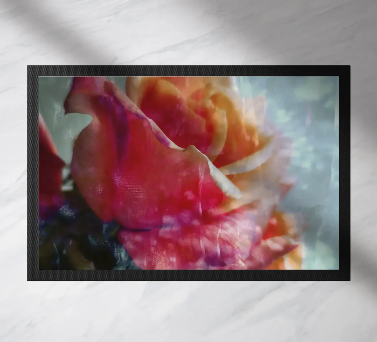 Roses zerbino da Angelo Cerantola