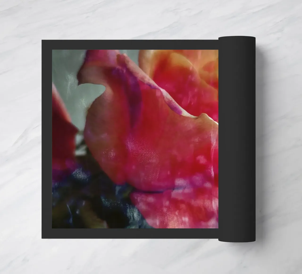 Roses zerbino da Angelo Cerantola