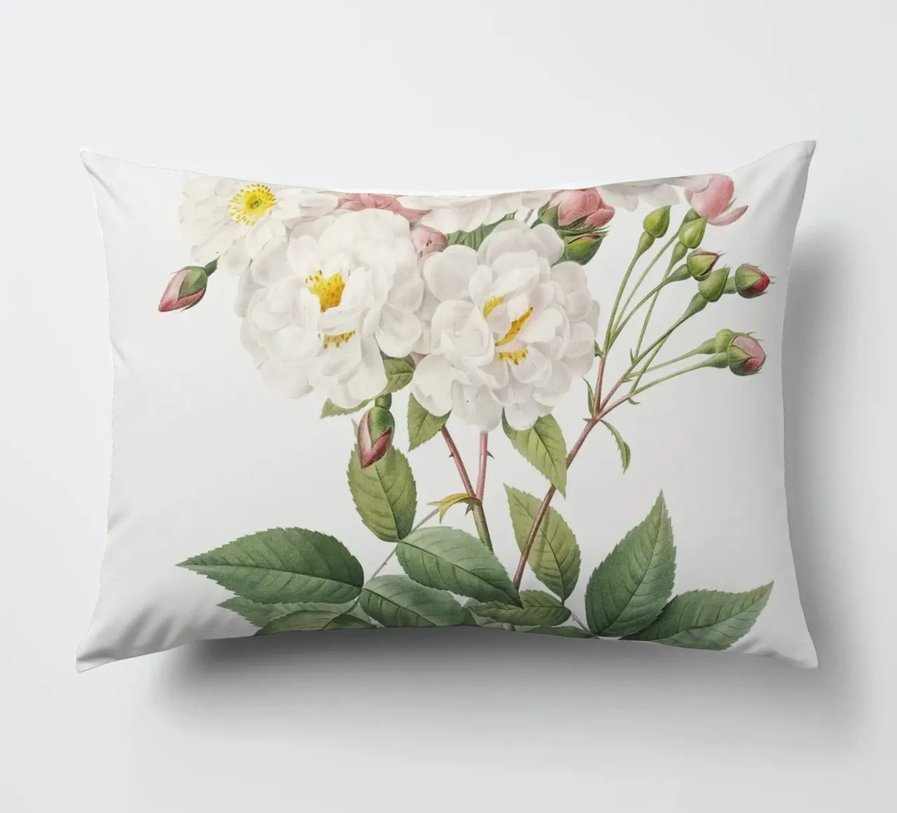 Rosa × noisettiana, nota anche come Rosa di Philippe Noise cuscino da Art History
