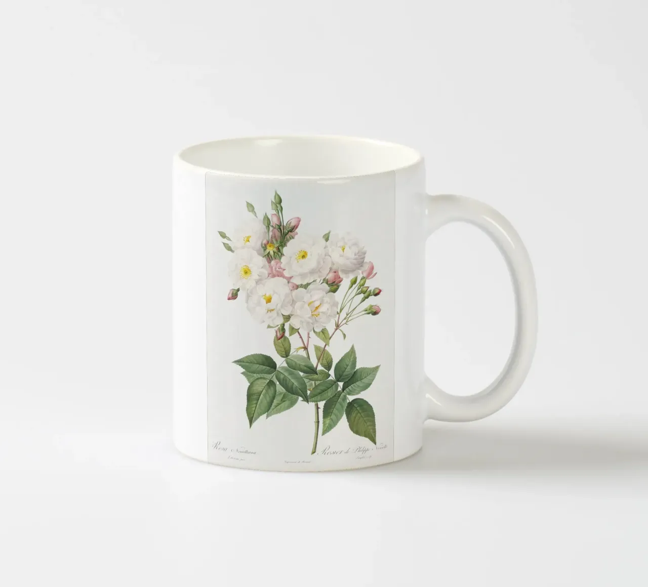 Rosa × noisettiana, also known as the Rose of Philippe Noise ceramic mug by Art History
