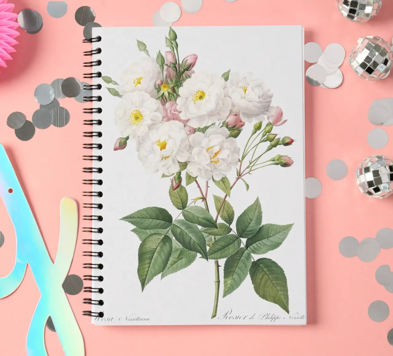 Rosa × noisettiana, also known as the Rose of Philippe Noise spiral notebook by Art History